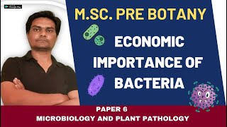 Economic Importance of Bacteria 1 II MSc Pre Botany  Semester 1st  CSIR NET  NEET  RPSC [upl. by Siroval]