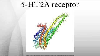 5HT2A receptor [upl. by Jenny]