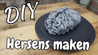 DIY Hersens maken 🧠 [upl. by Mcginnis]