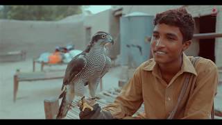 The Art of Falconry in Pakistan [upl. by Lierbag]