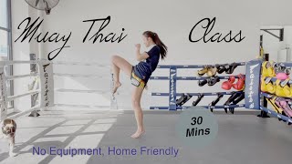 Muay Thai at Home  Full Class Beginner Friendly No equipment  30 Mins with Spring Sia [upl. by Mufinella38]