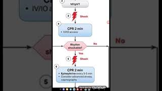 ACLS Cardaic Arrest Algorithm [upl. by Irab722]