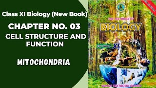 Ch 3 Cell Structure and function  Mitochondria  Class 11 new Biology book Sindh board [upl. by Llener651]