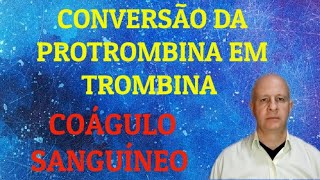 Conversão da protrombina em trombina Coagulação sanguínea [upl. by Anielram]