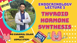 Thyroid Hormone Synthesis  Endocrinology [upl. by Hofmann]