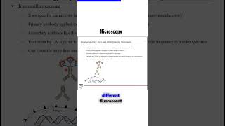 Microscopy Immunofluorescence [upl. by Ramraj]