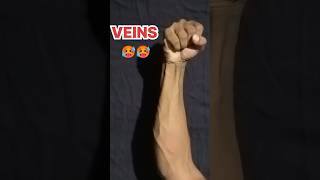 Hand Gripper Before And After  Hand Gripper For 30 Days  Hand Grip Transformation  Forearm Veins [upl. by Launam982]