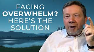 Overcoming Overwhelm Eckhart Tolles Guide to Staying Grounded [upl. by Taima]