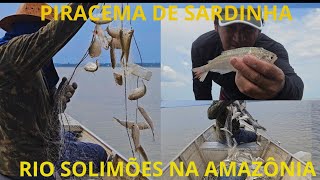 PIRACEMA DE SARDINHA NO RIO SOLIMÕES AMAZONAS PEGAMOS SÓ AS GRAÚDA [upl. by Beryl]