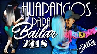 Los Mejores HUAPANGOS Para Bailar 2018 DjTito [upl. by Cirone]