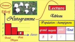 Histogramme 6ème 5ème  Lecture des données statistiques dun graphique [upl. by Azriel272]