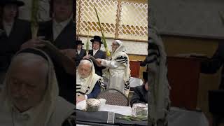 Koson Forshay Rebbe on Hoshana Rabbah 5785 [upl. by Elene937]