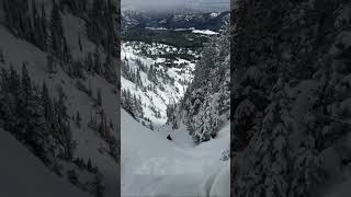 SkierTriggered Avalanche in Super Couloir [upl. by Ag14]