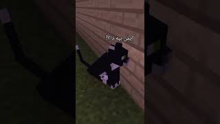 البسس لما تبي تنام🤣💔 memes trend ميمز ترند minecraft vial مشاهير ماينكرافت mlg [upl. by Ayenat]