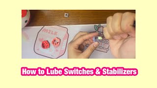 How to Lube Switches amp Stabilizers [upl. by Hillell]