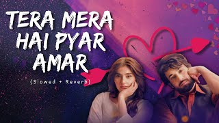 Tera Mera Hai Pyar Amar 💕Slowed  Reverb  Ahmed Jehanzeb  HUM TV [upl. by Merete83]