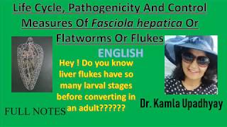 Fasciola hepatica Fasciola hepatica life cycle Flat worm Liver Fluke Fluke Liver rot [upl. by Salita334]