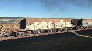 Steam train to fishermans Island and Pinkenba Fishermans Island  Cannon Hill [upl. by Chem]