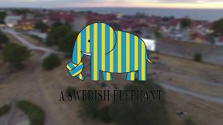 A Swedish Elephant  Årets livligaste paneldebatt i Almedalen 2018 [upl. by Dnarud]