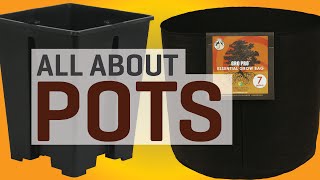 All About Pots [upl. by Beutner]