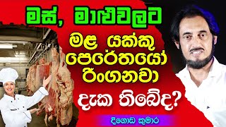 කොට්ටාවෙන් ගත්තු මස් පොළ හන්දියේදී ඩැහැගත්තු මලයක්කු  Deegoda Kumara spiritual speech [upl. by Blalock353]