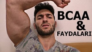 BCAA  FAYDALARI NELER  Vücüt geliştirme  Supplement  Protein  Amino asit Shredded Brothers [upl. by Lati424]