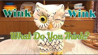 Goodwill Thrift Haul  Mr Winkers Home Decor Things To Resell [upl. by Aiciruam]