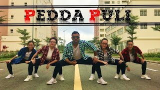 Pedda Puli  Nithiin Megha Akash  Santosh Choreography [upl. by Lawtun]