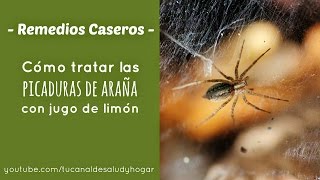 Cómo curar una picadura de araña con jugo de limón [upl. by Alenairam]