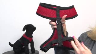 Casual Canine Mesh Harness  Red [upl. by Ulises253]