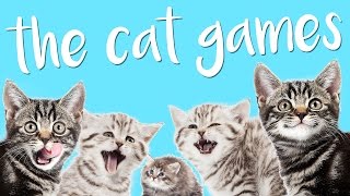 BEST GAME EVER MADE  The Cat Games [upl. by Ennyletak]