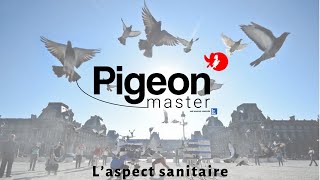 Pigeon  master  Aspect sanitaire  Sanitary aspect English subtitles [upl. by Areyk49]