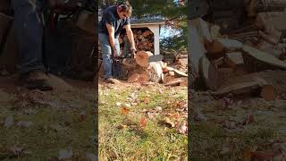 Lombard Governor 312D Chainsaw startup amp cutting [upl. by Adelle]