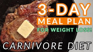 3Day Carnivore Diet Meal Plan FOR WEIGHT LOSS [upl. by Eldrida]