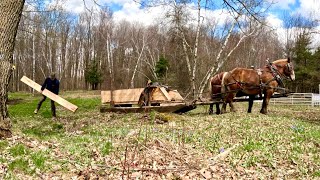 The best horse I ever had  New Raised Beds for our Neighbor 625 [upl. by Nahttam475]