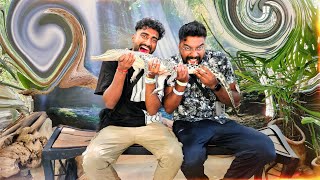 முதலை சாப்பிடலாமா😱🐊  அல்லு விட்டுருச்சு Tamil Comedy Vlog😂  German Thambi [upl. by Airemat]