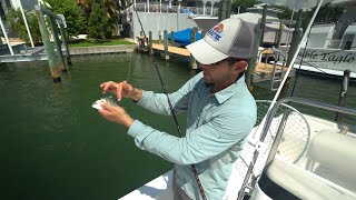 Two Tips for using Live Pinfish for Bait [upl. by Ybur]