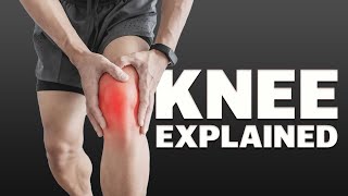 5 Simple Exercises For Massive Knee Pain Relief [upl. by Florentia]