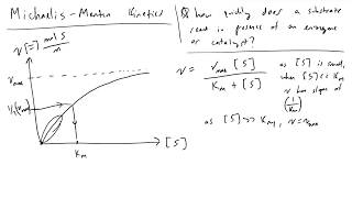 Michaelis Menten Kinetics [upl. by Hassin]