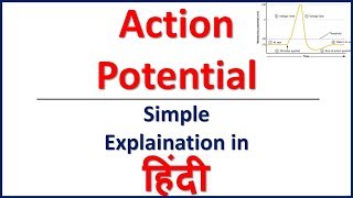 Action potential and resting potential neuron in Hindi   Bhushan Science [upl. by Bonner]