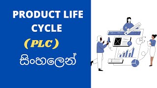 Product Life Cycle in Sinhala  Marketing Sinhala  Management Lessons in Sinhala [upl. by Alliuqaj]