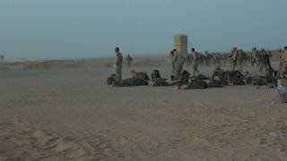 Operation River Liberty Begins as Fox Company 28 Boards Helos at FOB Dwyer Afghanistan 2 July 2009 [upl. by Zingg260]