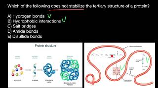 Protein folding  5 [upl. by Yoshi998]