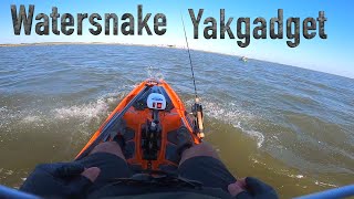 Watersnake T24 on YAKGADGET Pod mount Bonafide SS127 [upl. by Niuq135]