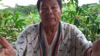 Shipibo Chamán Explica Ayahuasca y Plantas Medicinales Julio Urquia Ramírez [upl. by Eevets627]