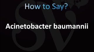 How to Pronounce Acinetobacter baumannii CORRECTLY [upl. by Nnaylloh]