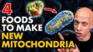 4 Foods to Make New Mitochondria Scientific Proof  Mastering Diabetes [upl. by Traggat82]