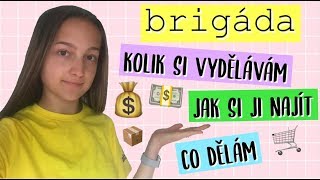 Jak si najít brigádu co dělám MOJE BRIGÁDA [upl. by Kenimod]