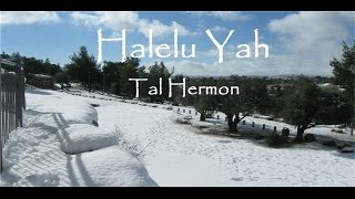 Halelu Yah by Tal Hermon Una adoración espontánea  An spontaneous adoration [upl. by Gabler]