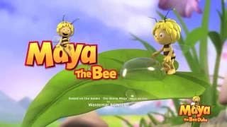 English Here Comes Maya the Bee [upl. by Finnie]